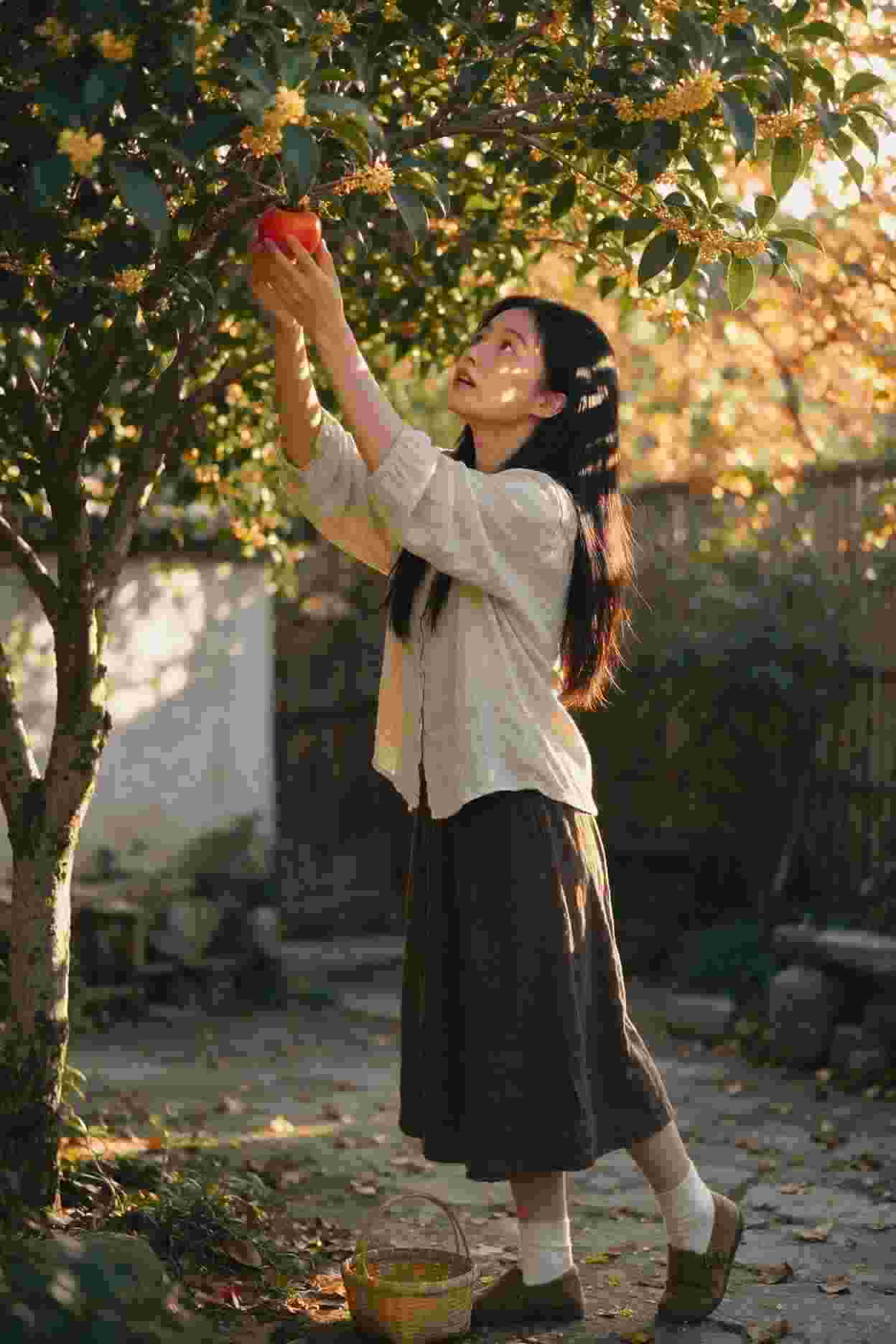 花开时节遇见你